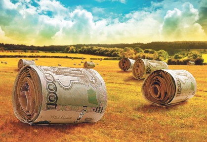 Ardshinbank, Armbusinessbank and UCC "DICA" are involved in the state  program of subsidizing agrocredits
